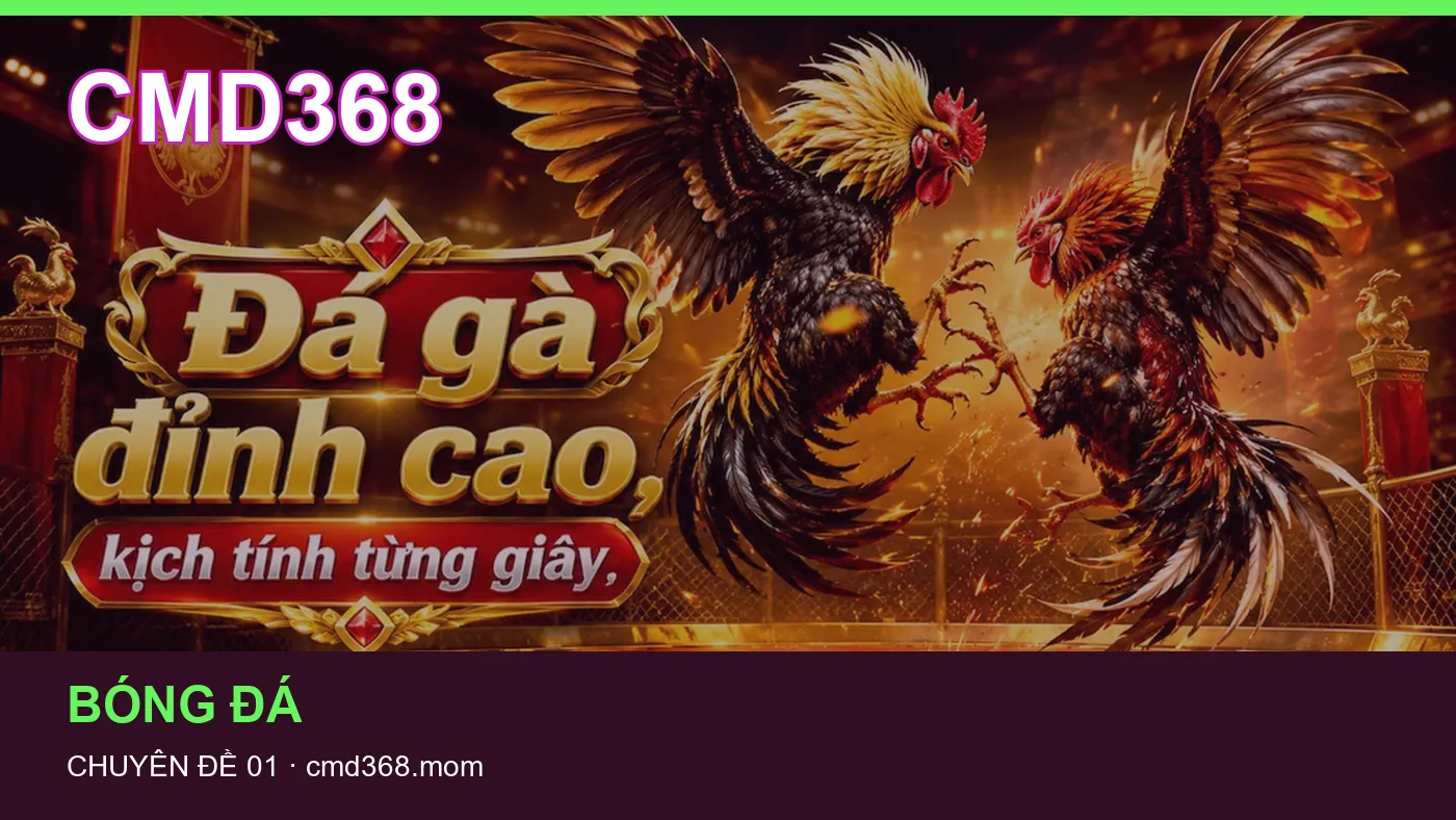 Cách bắt đầu đọc chuyên mục Bóng đá trên CMD368